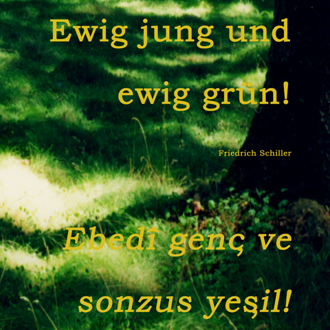 Kirsten K&ouml;tter: Deutscher Wald, 2001, Fotoprint, 40 &times; 40 cm