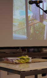 Kirsten K&ouml;tter: The Organic Kunstverein, Art Slam, Frankfurter Kunstverein, 25.01.2013