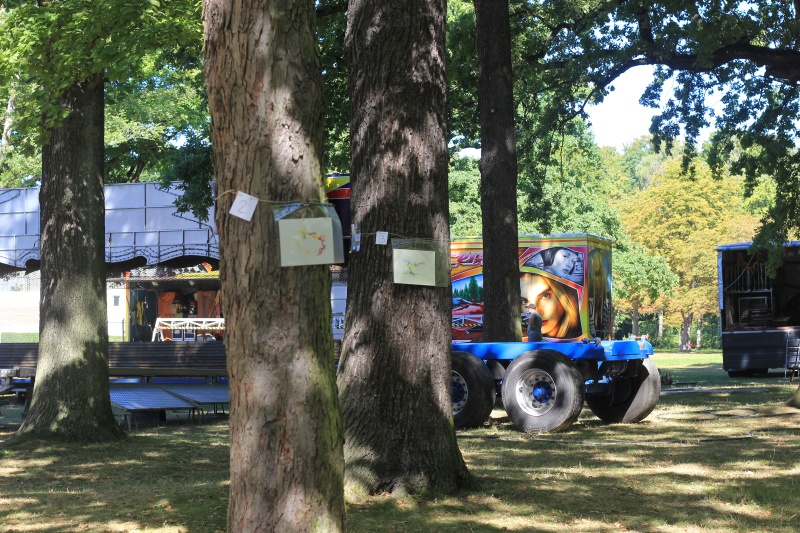 2025-08-19_malathon-chemnitz_02_03_baum_2794 (Kirsten Kötter)