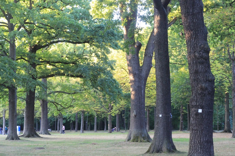 2025-08-18_malathon-chemnitz_zahlen_2766 (Kirsten Kötter)