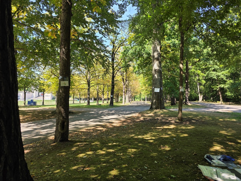 2025-08-20_malathon-chemnitz_21_20_19_20250820_123458 (Kirsten Kötter)