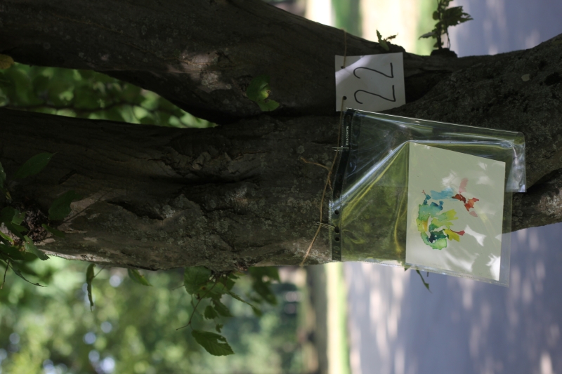 2025-08-20_malathon-chemnitz_22_baum_2901, watercolour, 12 × 17 cm (Kirsten Kötter)