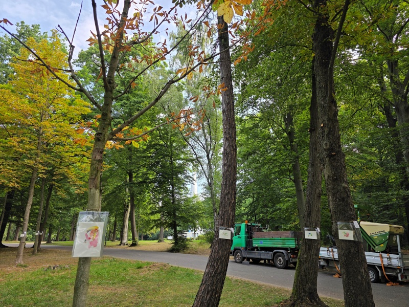 2025-08-21_malathon-chemnitz_33_ua_baeume_20250821_094733 (Kirsten Kötter)